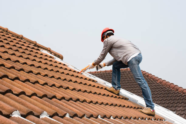 Best Skylight Installation and Repair  in Hutchison, VA