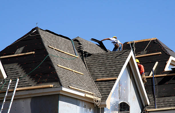 Best Roof Moss and Algae Removal  in Hutchison, VA