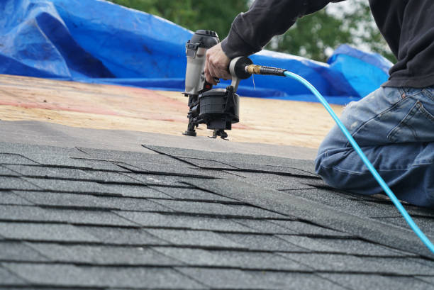 Best Metal Roofing Installation  in Hutchison, VA